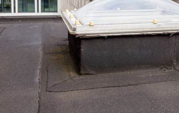 disadvantages of Appledore Heath flat roofs