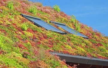 Appledore Heath living roof systems