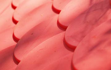 Appledore Heath plastic roof costs