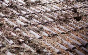 Appledore Heath roof cleaning companies