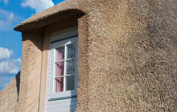 Appledore Heath thatch roof disadvantages
