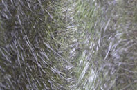 Appledore Heath fibreglass roof work